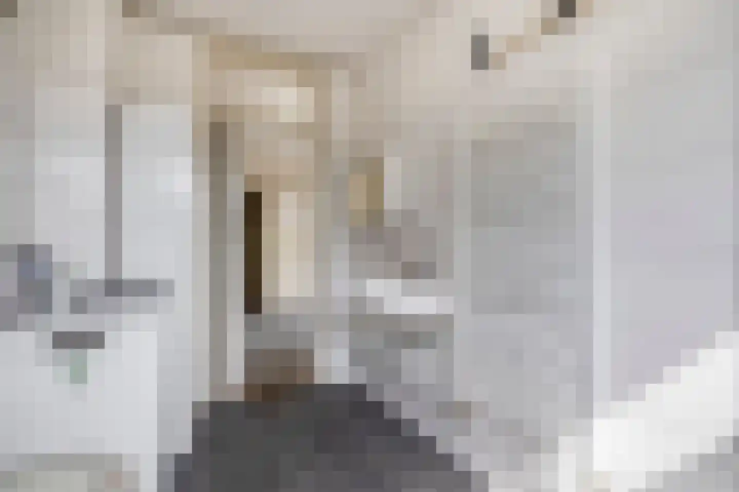 Adriaen Beyerkade 17 Utrecht thumbnail 19