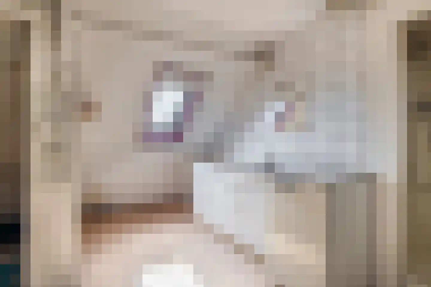 Adriaen Beyerkade 17 Utrecht thumbnail 24