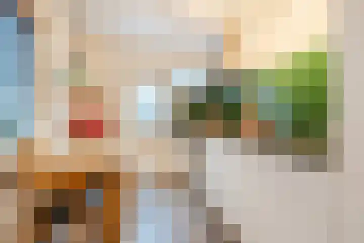 Adriaen Beyerkade 2 Utrecht thumbnail 14