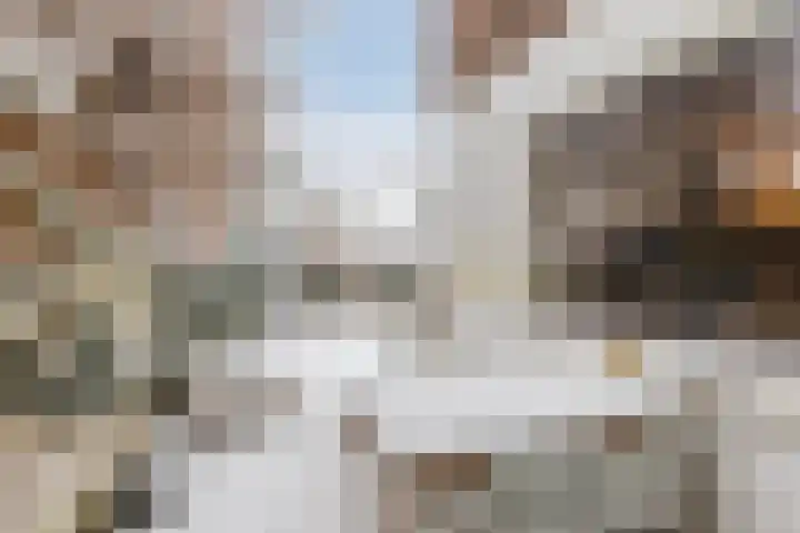 Adriaen Beyerkade 2 Utrecht thumbnail 38