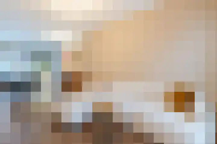 Adriaen Beyerkade 2 Utrecht thumbnail 7