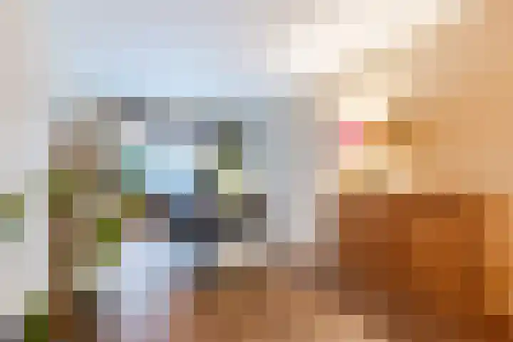 Adriaen Beyerkade 2 Utrecht thumbnail 8