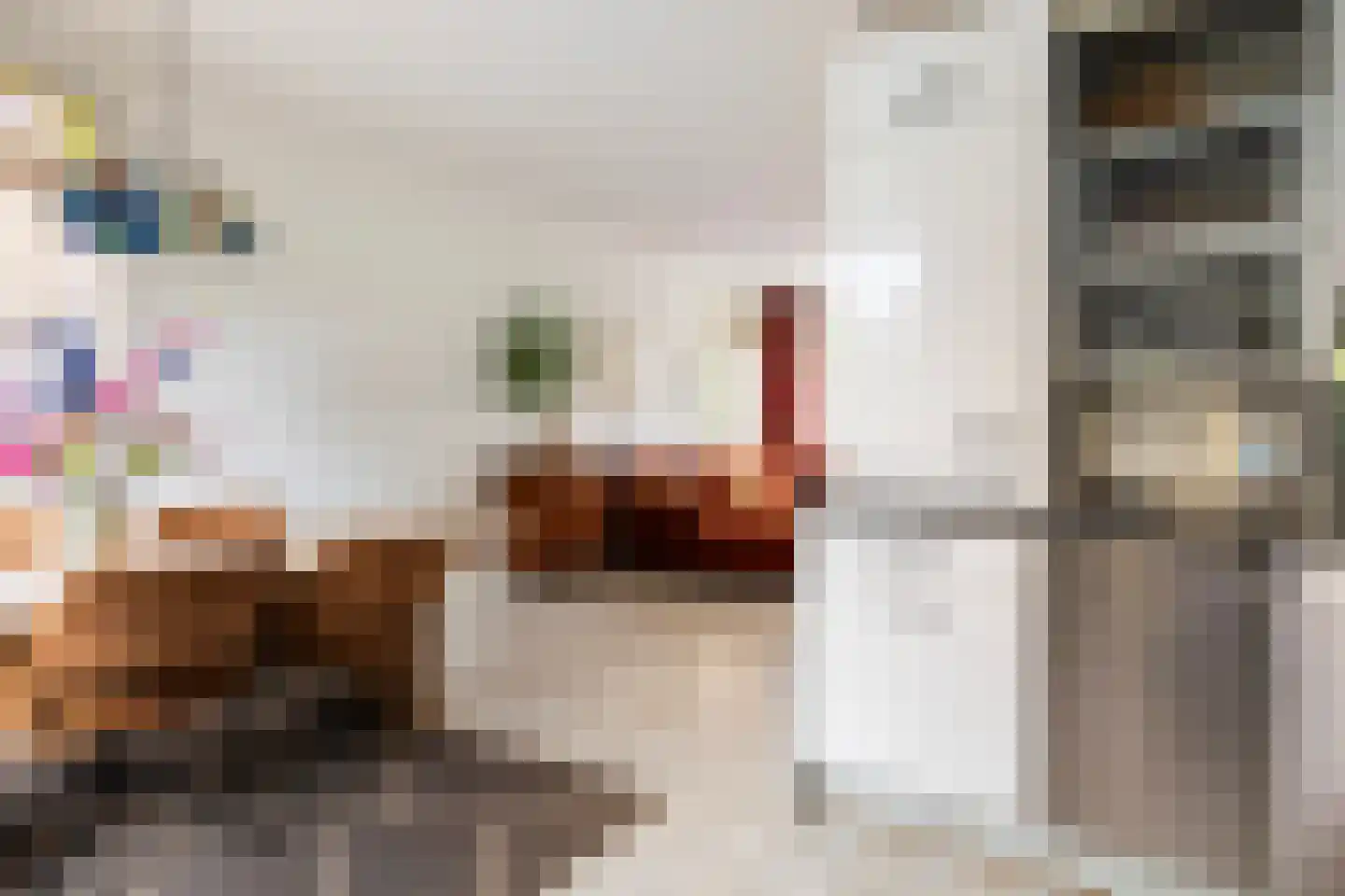 Adriaen Beyerkade 22 Utrecht thumbnail 15