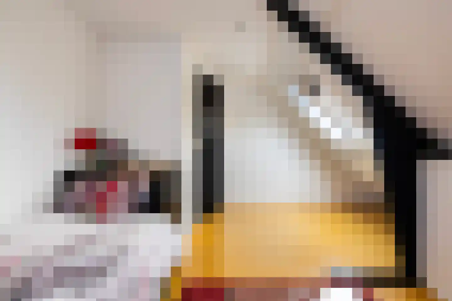 Adriaen Beyerkade 22 Utrecht thumbnail 26