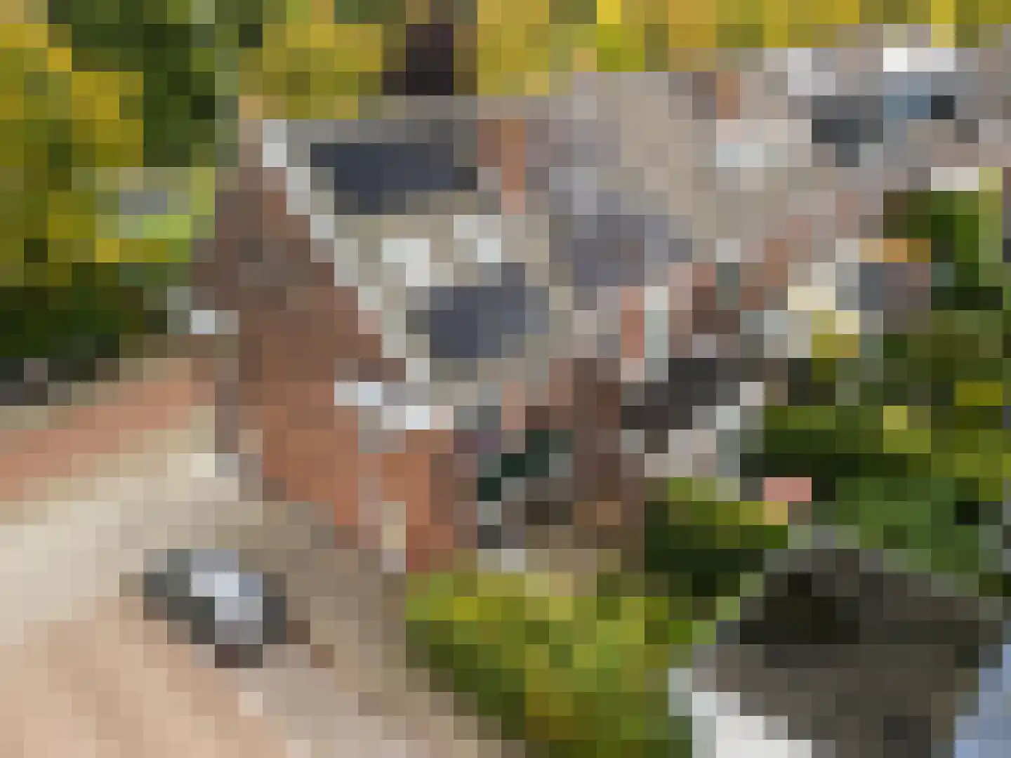 Adriaen Beyerkade 22 Utrecht thumbnail 29