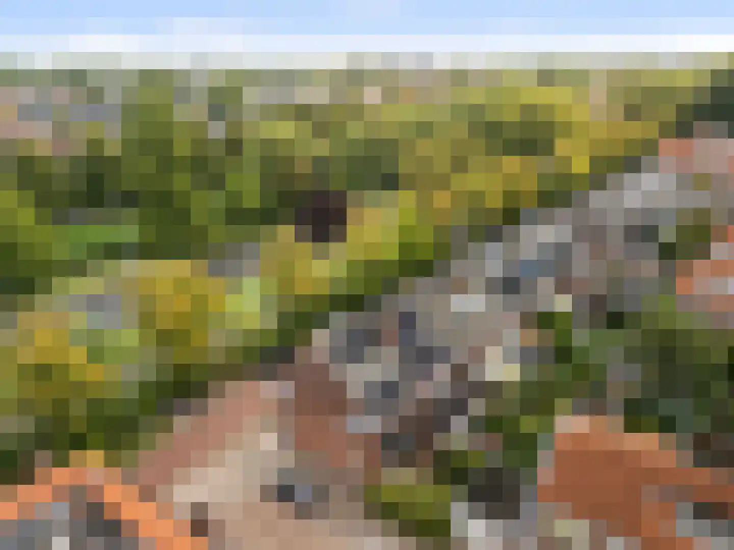 Adriaen Beyerkade 22 Utrecht thumbnail 30