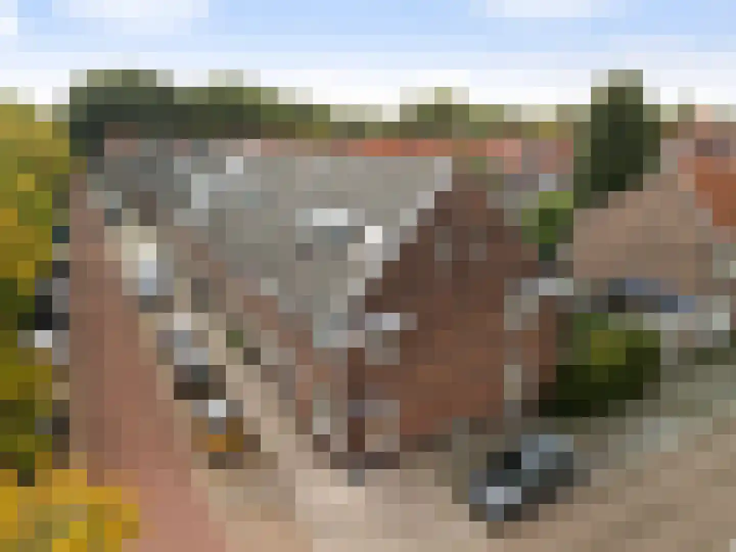 Adriaen Beyerkade 22 Utrecht thumbnail 32