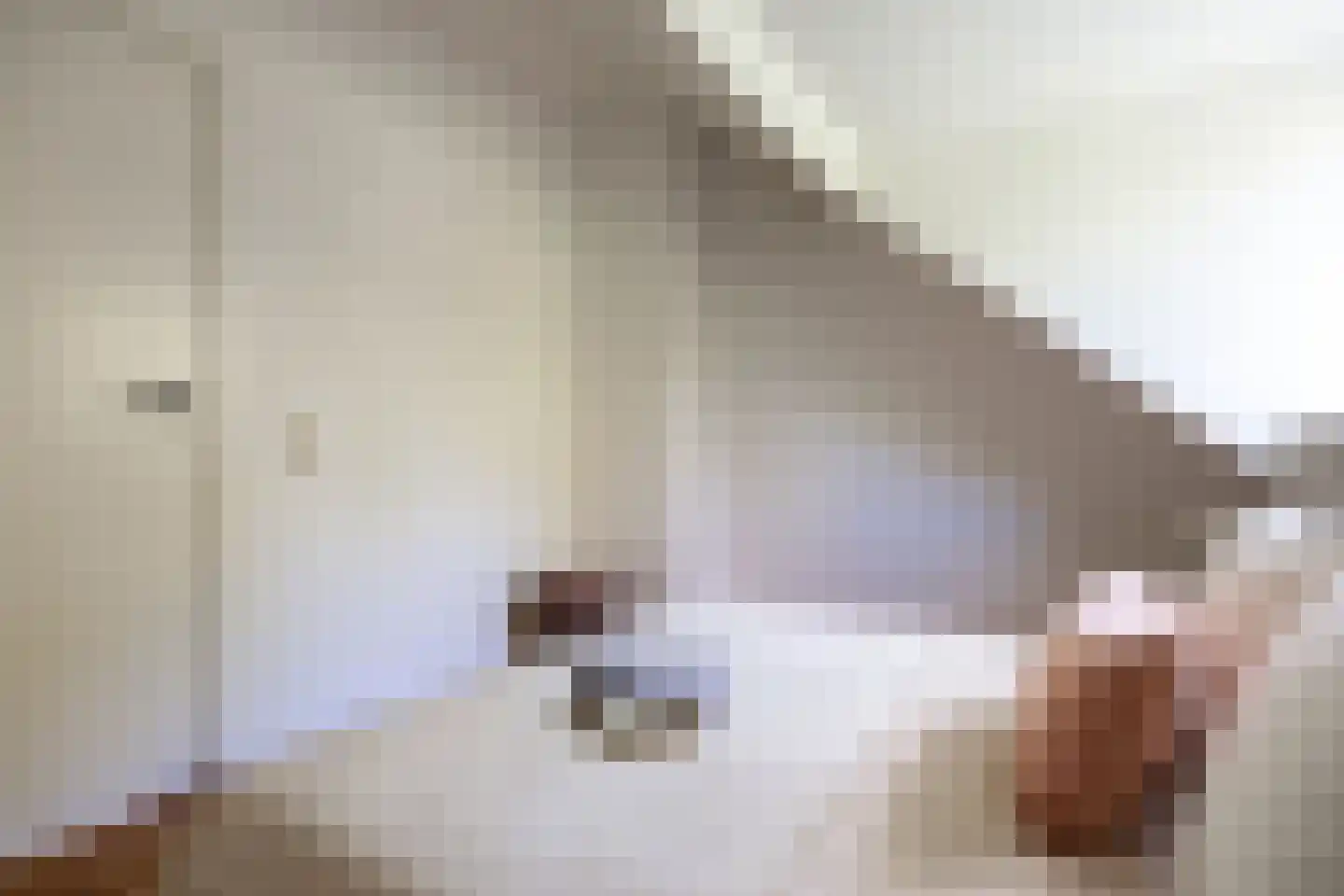 Adriaen Beyerkade 5 B Utrecht thumbnail 12