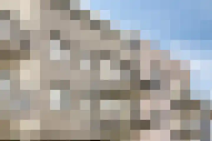 Adriaen Blockstraat 22 Almere thumbnail 29