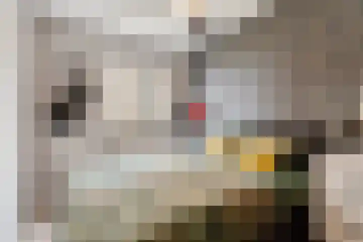Adriaen Blockstraat 8 Almere thumbnail 33