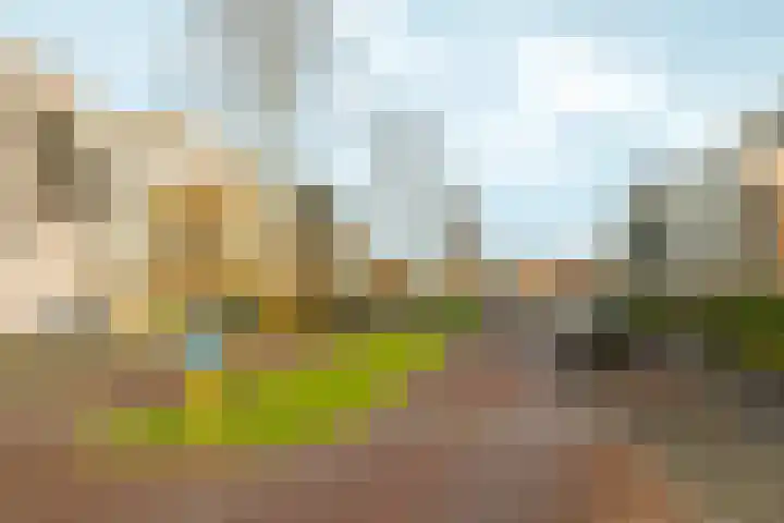 Adriaen Blockstraat 8 Almere thumbnail 8