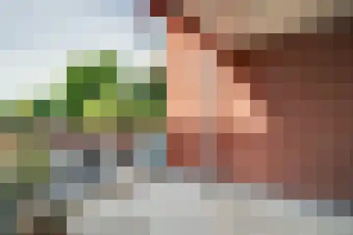 Adriaen Boomstraat 2 C Hoorn thumbnail 33