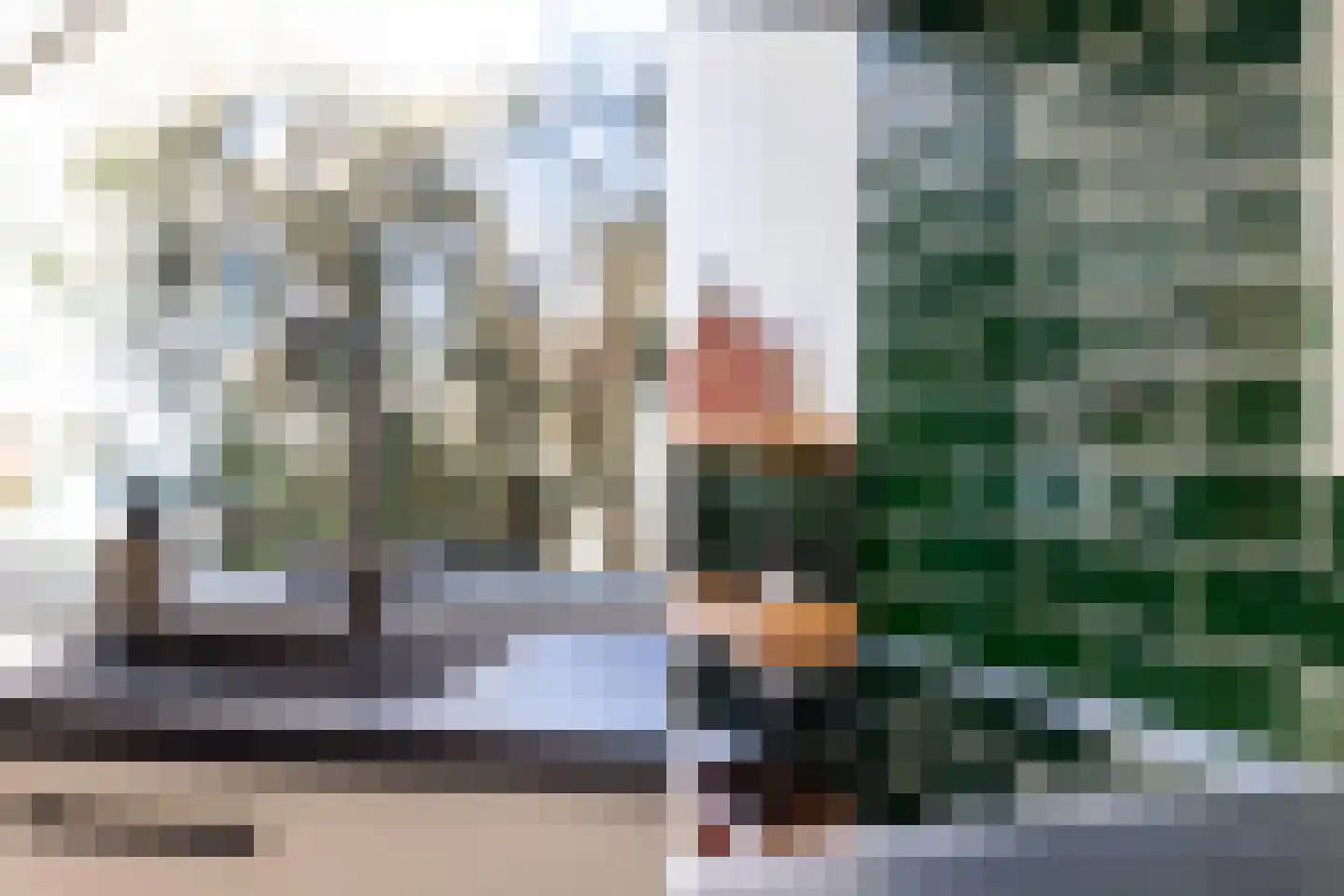 Adriaen Brouwerstraat 12 Maassluis thumbnail 10