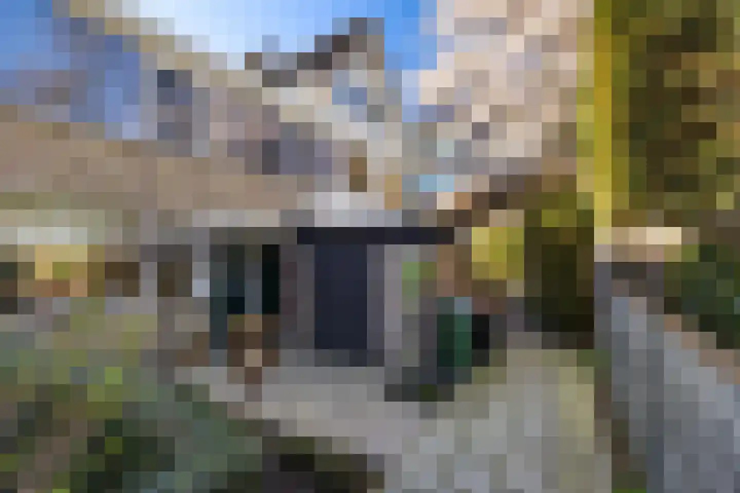 Adriaen Brouwerstraat 12 Maassluis thumbnail 4