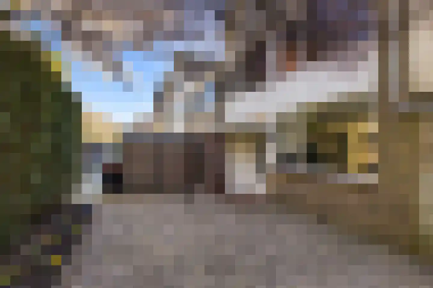 Adriaen Brouwerstraat 12 Maassluis thumbnail 5