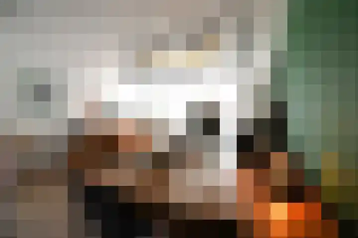Adriaen Brouwerstraat 131 Kerkrade thumbnail 18