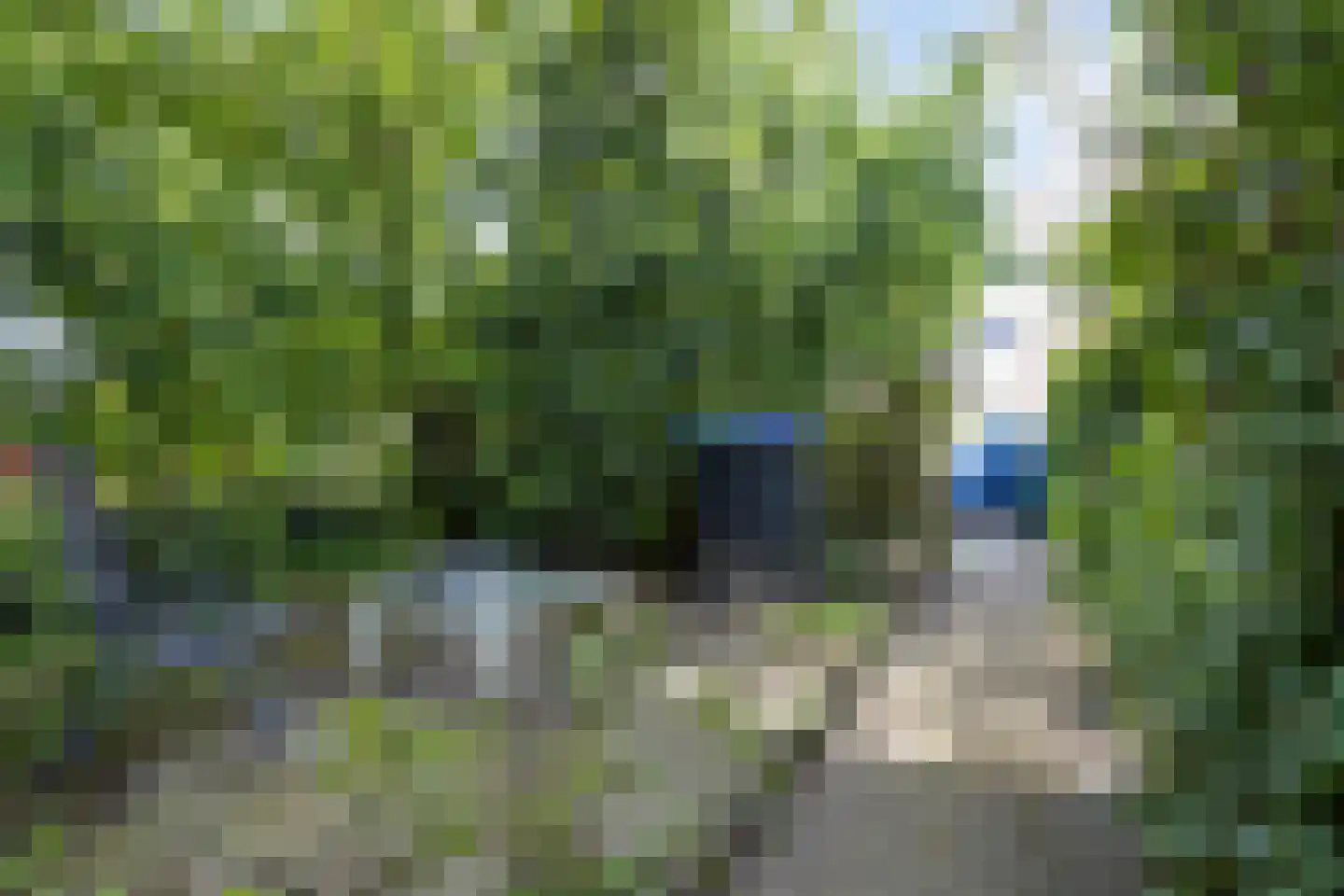 Adriaen Brouwerstraat 15 Boxmeer thumbnail 10