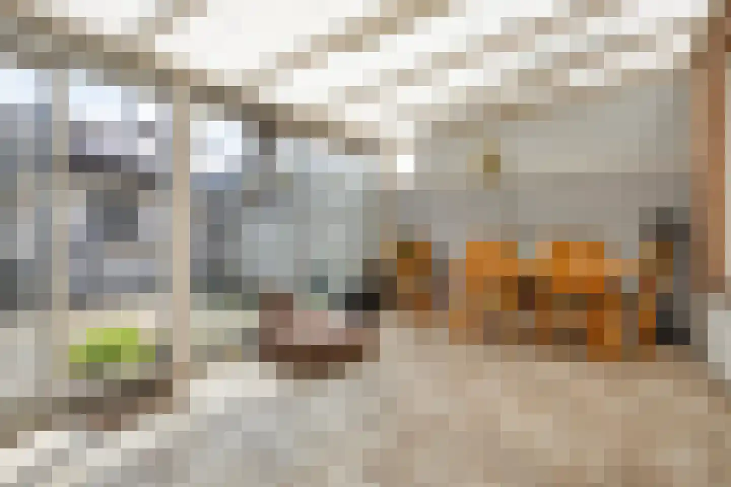 Adriaen Brouwerstraat 15 Boxmeer thumbnail 21
