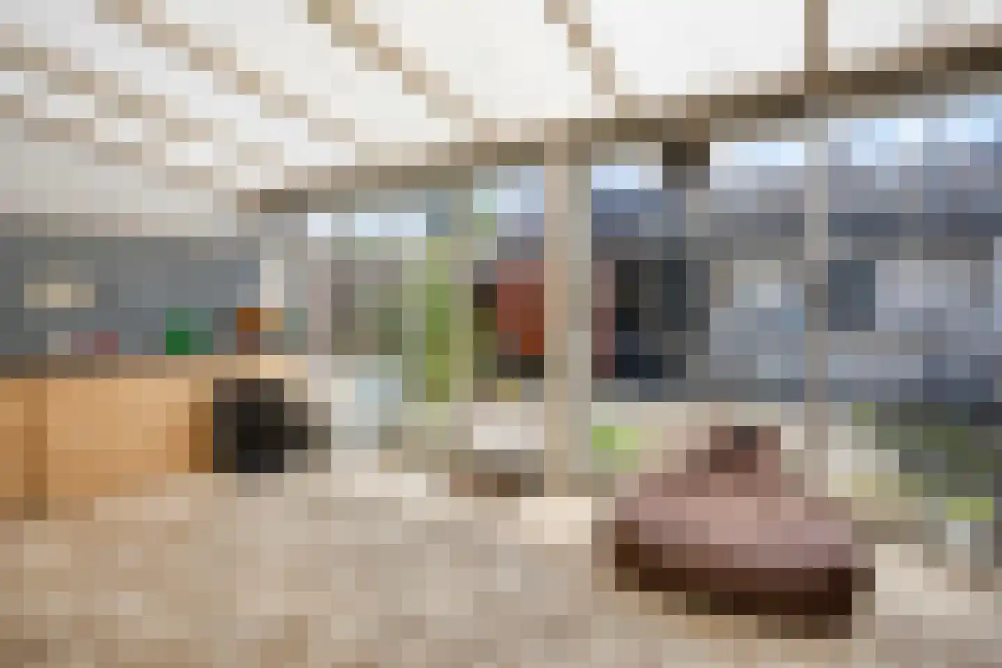 Adriaen Brouwerstraat 15 Boxmeer thumbnail 22