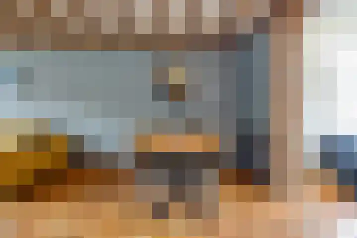 Adriaen Brouwerstraat 36 Boxmeer thumbnail 15