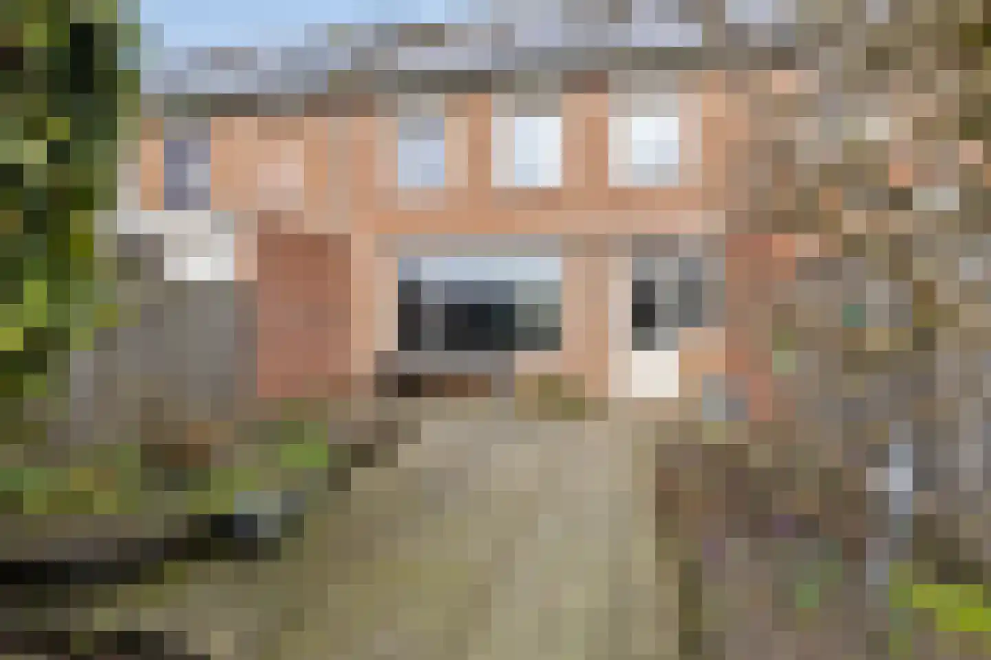 Adriaen Brouwerstraat 39 Boxmeer thumbnail 17