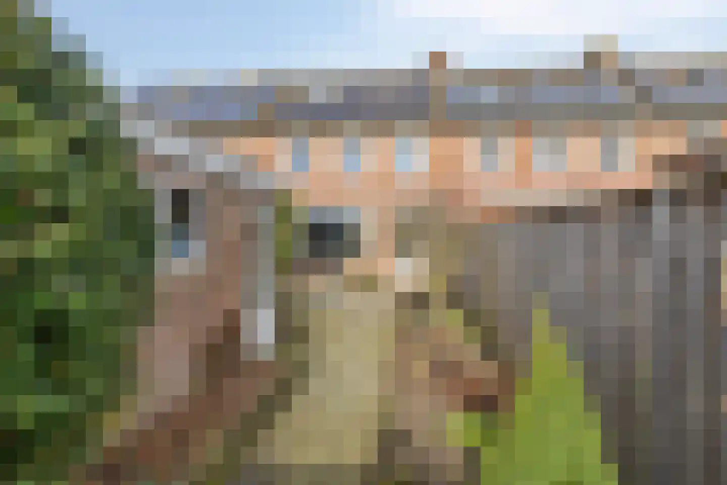 Adriaen Brouwerstraat 39 Boxmeer thumbnail 18
