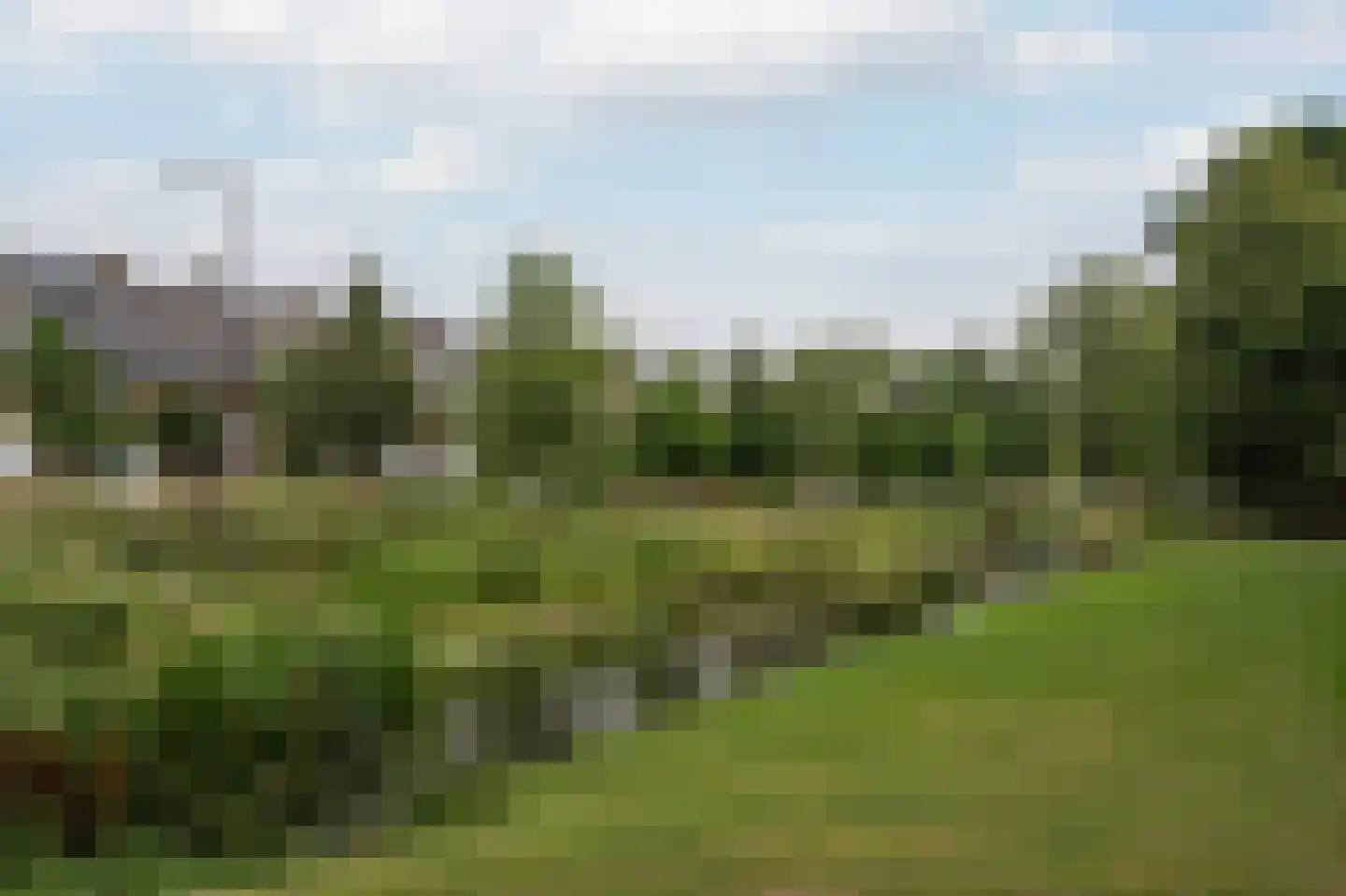Adriaen Brouwerstraat 4 Maassluis thumbnail 30