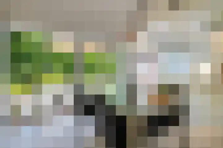 Adriaen Brouwerstraat 42 Kerkrade thumbnail 8