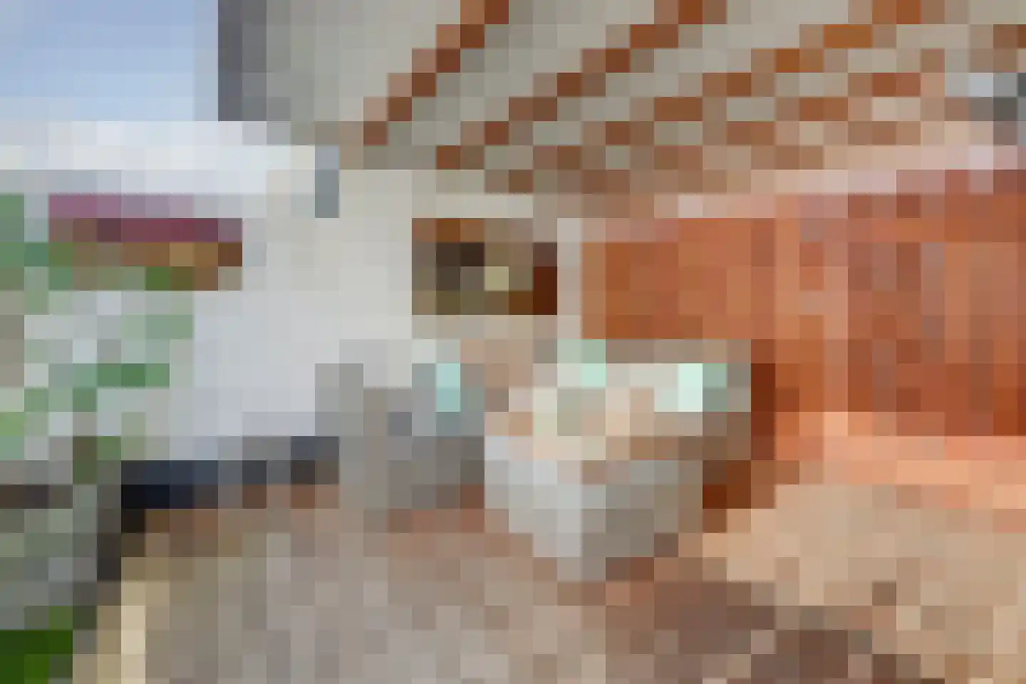 Adriaen Brouwerstraat 5 Almelo thumbnail 24