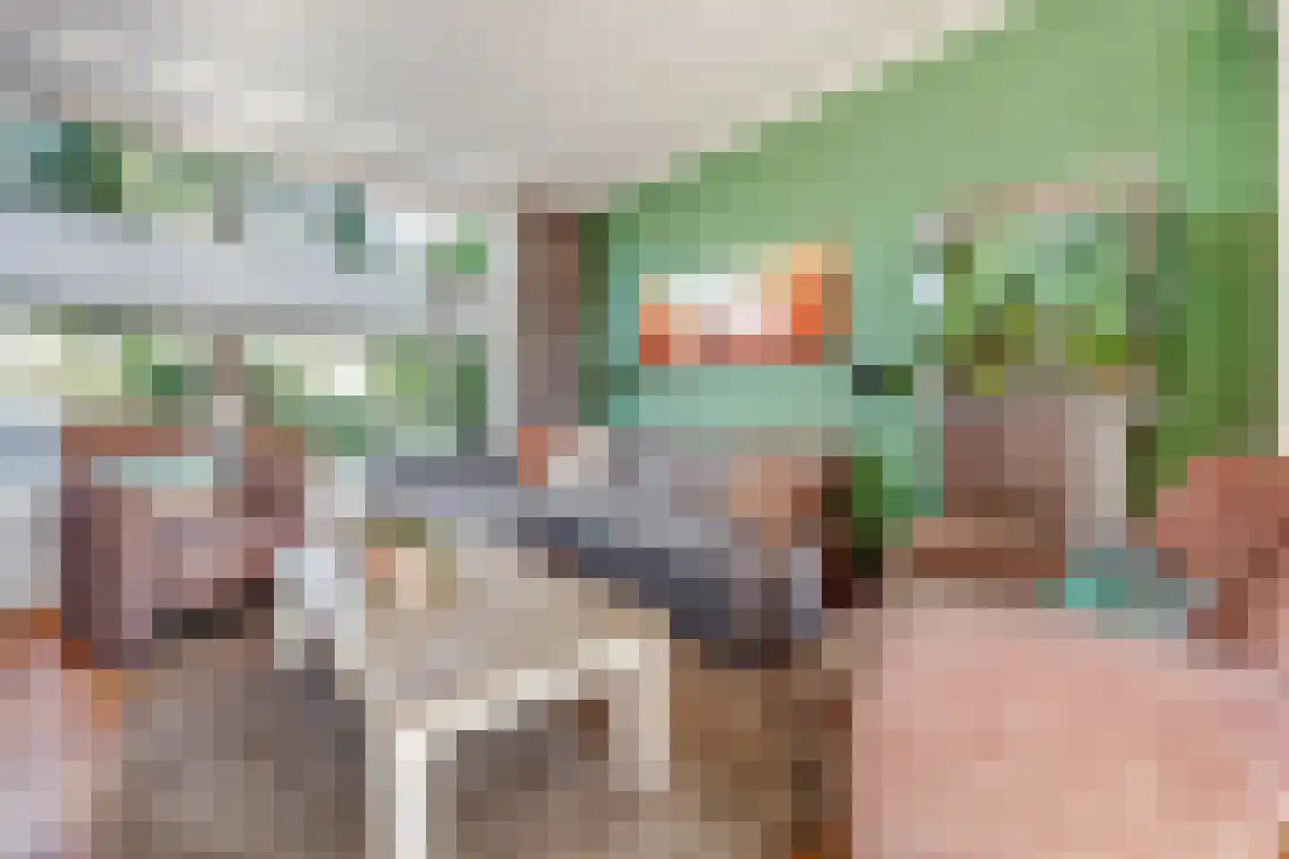 Adriaen Brouwerstraat 5 Almelo thumbnail 4