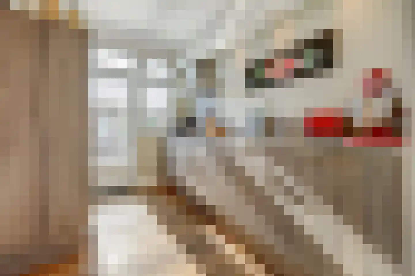 Adriaen Brouwerstraat 5 Almelo thumbnail 9
