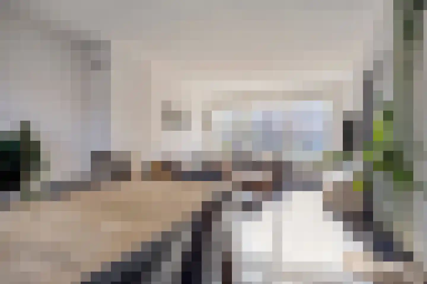 Adriaen Brouwerstraat 5 Boxmeer thumbnail 13