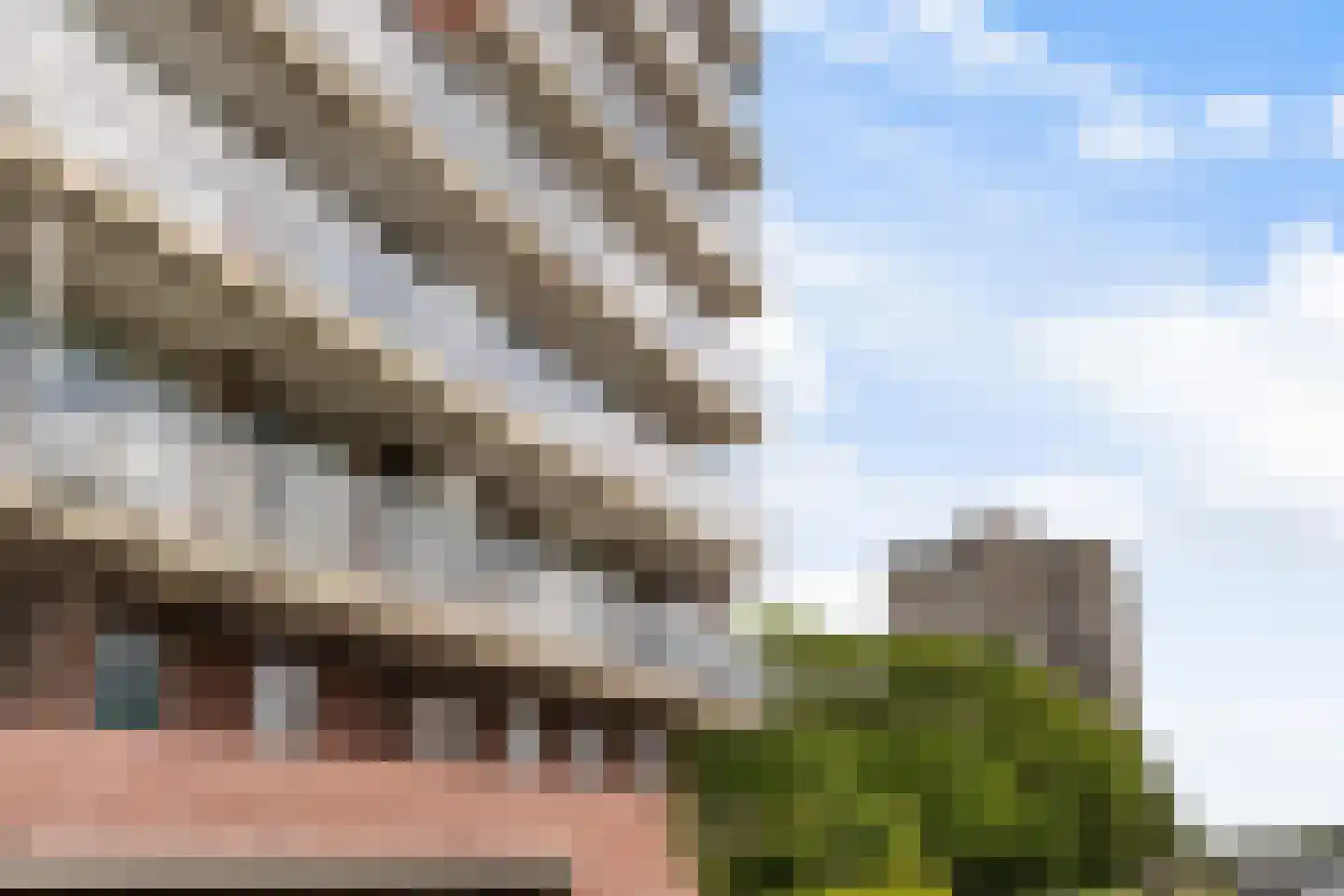 Adriaen Brouwerstraat 68 Maassluis thumbnail 33