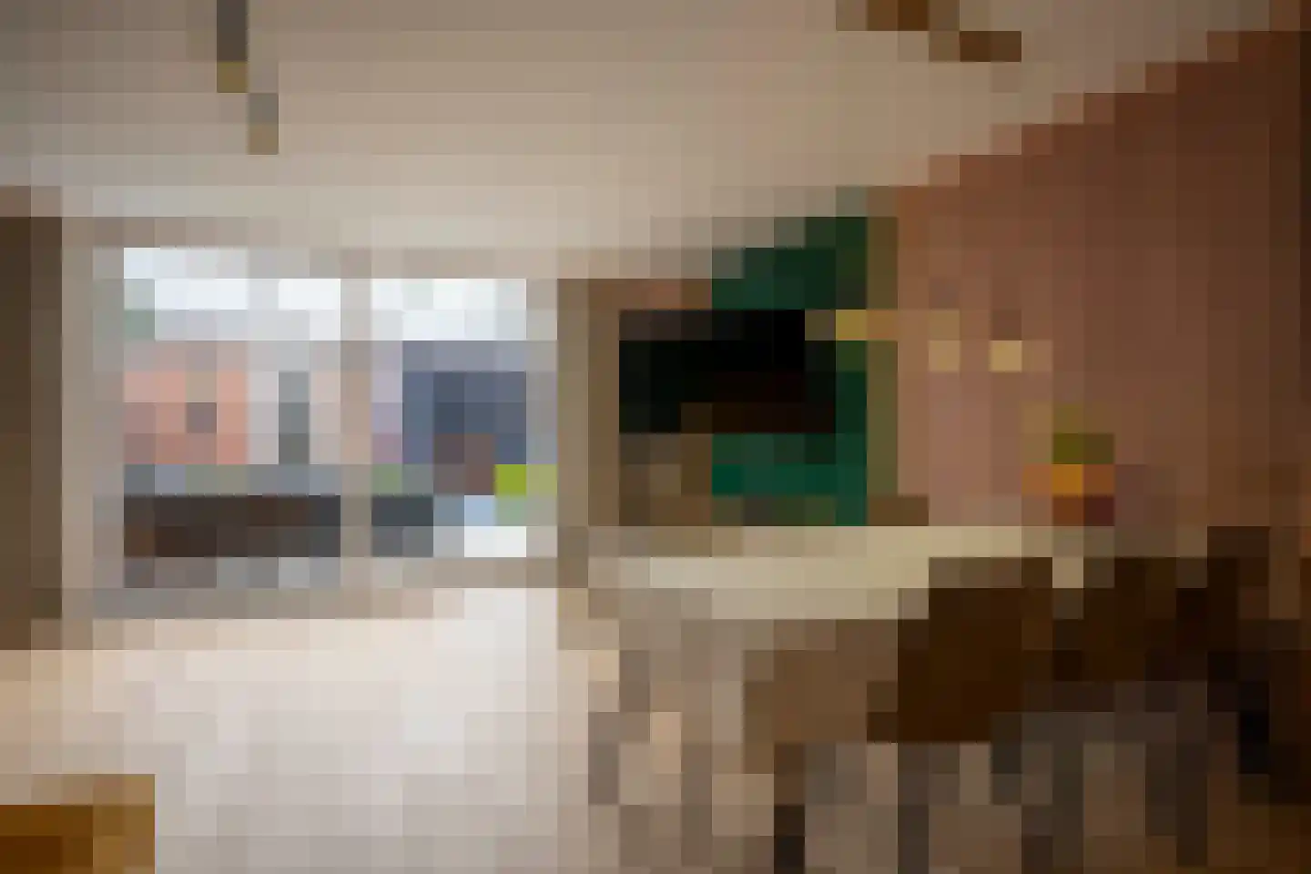 Adriaen Brouwerstraat 82 Kerkrade thumbnail 8
