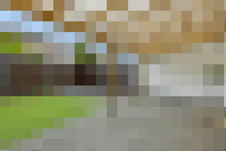 Adriaen Brouwerstraat 9 Helmond thumbnail 36