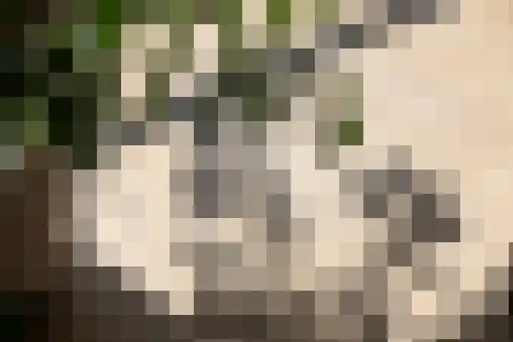 Adriaen de Vrieslaan 9 Deventer thumbnail 12