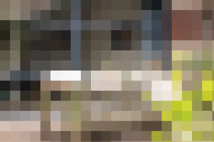 Adriaen de Vrieslaan 9 Deventer thumbnail 15