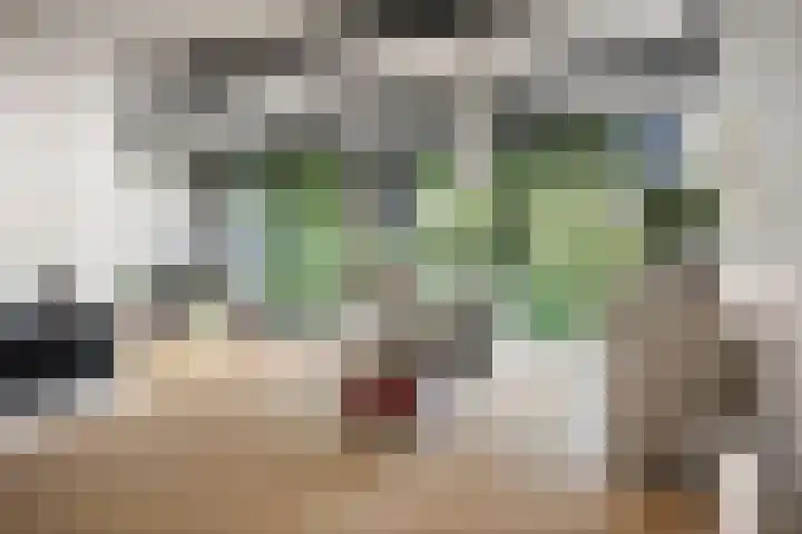 Adriaen de Vrieslaan 9 Deventer thumbnail 18
