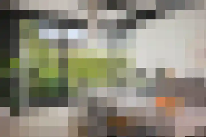 Adriaen de Vrieslaan 9 Deventer thumbnail 19