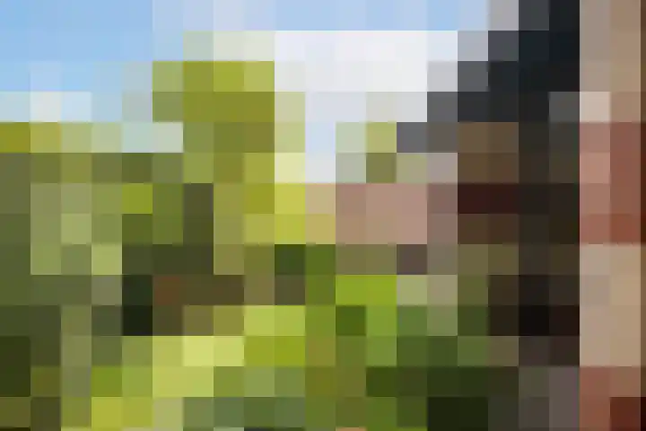 Adriaen de Vrieslaan 9 Deventer thumbnail 20