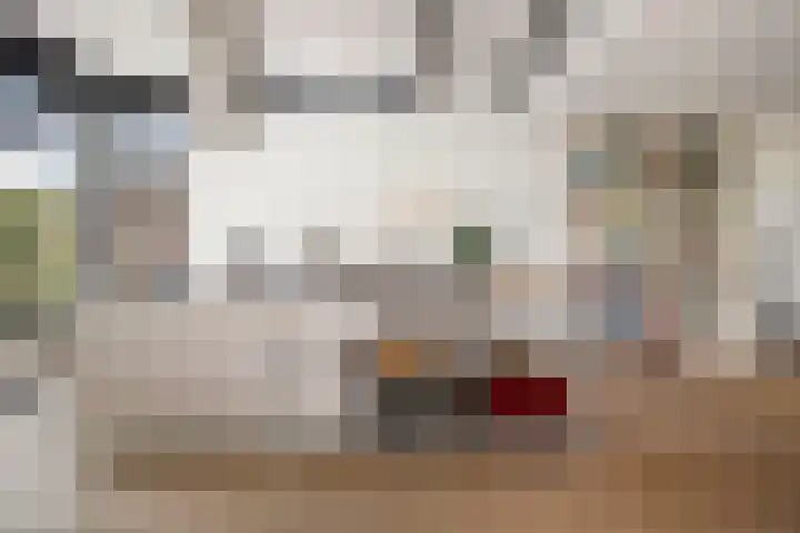 Adriaen de Vrieslaan 9 Deventer thumbnail 23