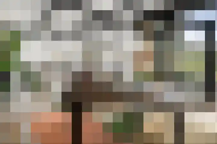 Adriaen de Vrieslaan 9 Deventer thumbnail 26