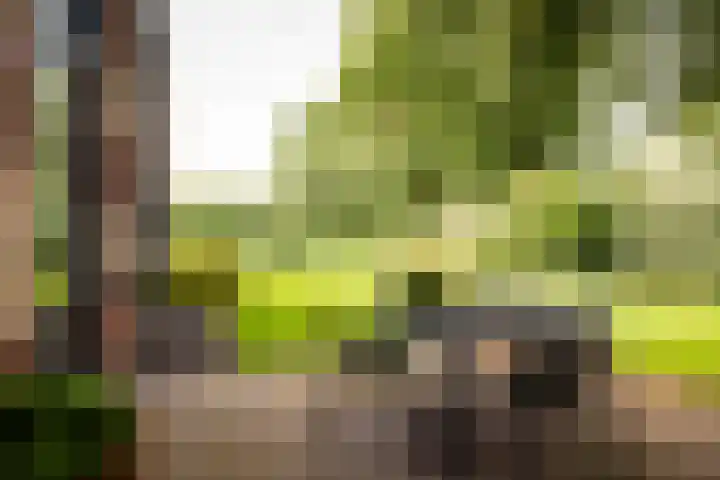 Adriaen de Vrieslaan 9 Deventer thumbnail 28
