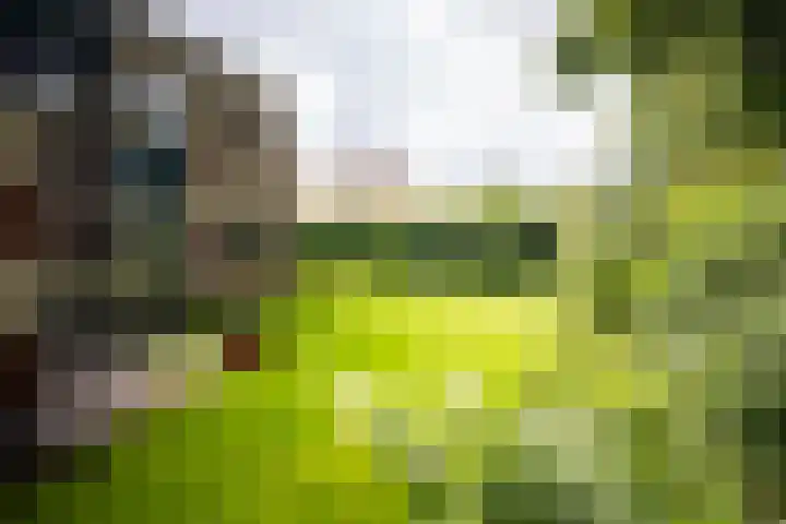 Adriaen de Vrieslaan 9 Deventer thumbnail 29