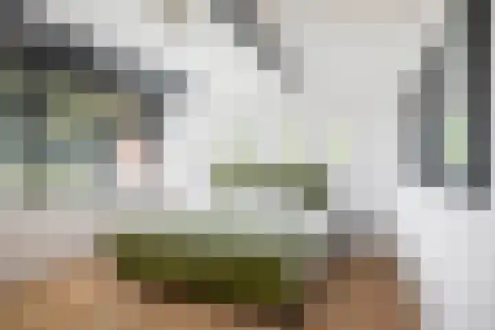 Adriaen de Vrieslaan 9 Deventer thumbnail 38