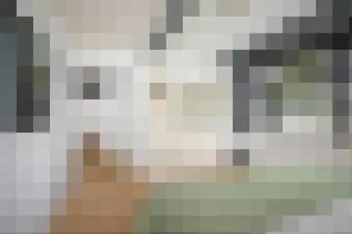 Adriaen de Vrieslaan 9 Deventer thumbnail 39