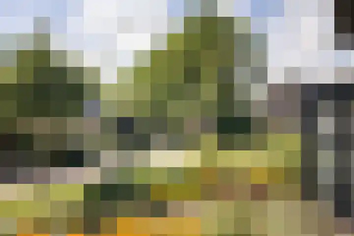 Adriaen de Vrieslaan 9 Deventer thumbnail 4