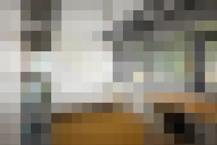 Adriaen de Vrieslaan 9 Deventer thumbnail 47