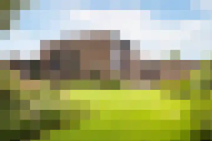 Adriaen de Vrieslaan 9 Deventer thumbnail 54