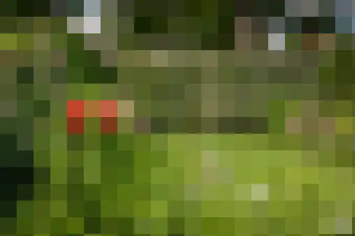 Adriaen de Vrieslaan 9 Deventer thumbnail 55